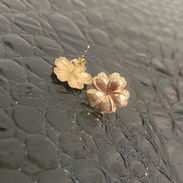 Aretes - Img 57146100
