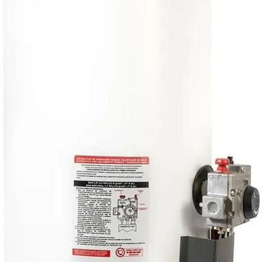 CALENTADOR DE GAS / PRIMO PLUS / 60 L / NUEVO / ORIGINAL / - Img 113225904