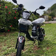 VENDO BICIMOTO MISHOZUKI GRILLO PRO MAX 14 GENERACIÓN [EM] - Img 56633015