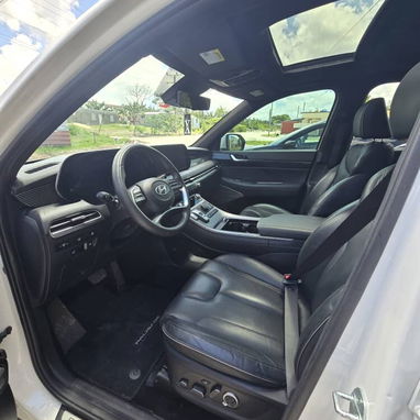 Vendo o negocio, Hyundai palisade 2024, calligraphy - Img 122038956