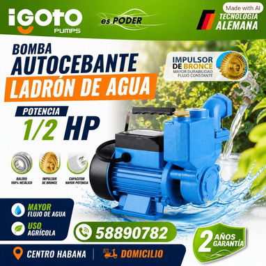 BOMBA AUTOCEBANTE LADRON DE AGUA IGOTO TECNOLOGIA ALEMANA 58890782 - 4/4