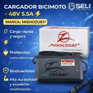Cargador de bicimoto - Img 55923698