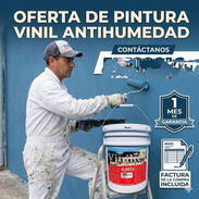 PINTURA VINIL PARA INTERIOR Y EXTERIOR. - Img 57887933