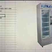 Freezer exhibidor vertical doble puerta 20 pies. 1300 - Img 45832277