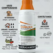 Fipronil - Img 58037175