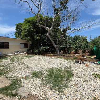 Venta siboney inmensa residencia a reparar - 6/8