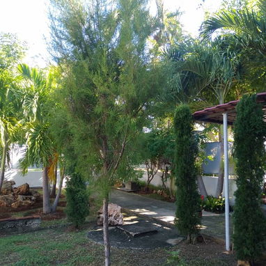 Planta baja de biplanta en Atabey - Img 118291177