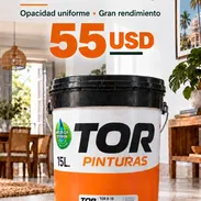 2MC-🎨 PINTURA VINIL ESPAÑOLA PREMIUM 15 L – 55 USD - Img 57781825