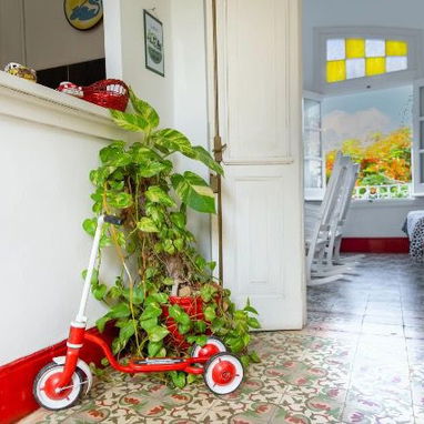 Venta en el vedado - 3/10