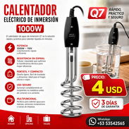 Calentador Eléctrico De Inmersión 1000W - Img 56292164