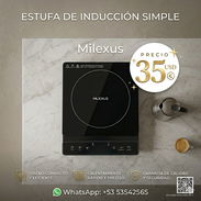 INDUCCIÓN / SIMPLE / COCINA DE INDUCCIÓN SIMPLE - Img 54453144