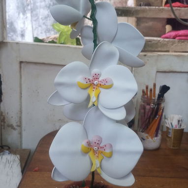 Flores - 4/5