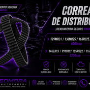 🚗 ¡Correas De Distribución Disponibles ! - Img 56906627