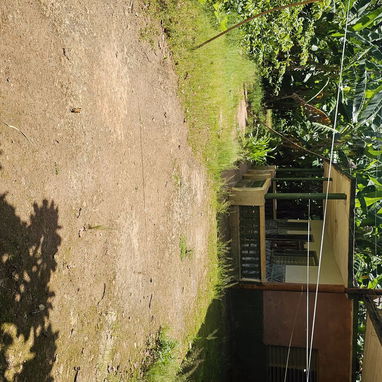 En venta finca en jovellanos con casa de mampostería - Img 124509221