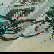 Se vende bicicleta Raly - Img 48955986