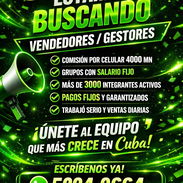 GESTORES DE VENTA - Img 55341458