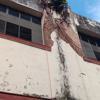 Alpinista , reparación de fachadas  , trabajos constructivos - 6/7