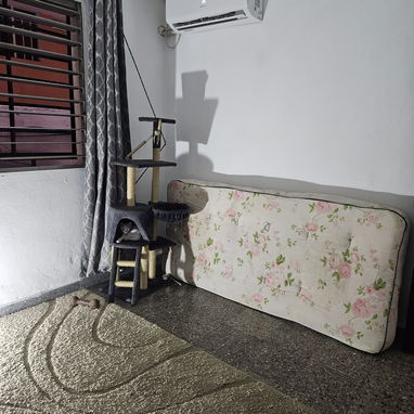 ‼️Apartamento en Rebaja ‼️ - Img 124234253