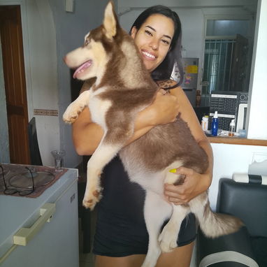 Cachorros del Club de Husky Siberiano - 4/4