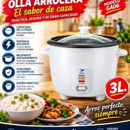 Olla arrocera de 3 litros - Img 57862899