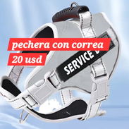 52957459.vedado pechera con correa - Img 55940152