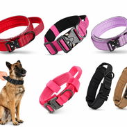 Collares tácticos para perros - Img 56544539