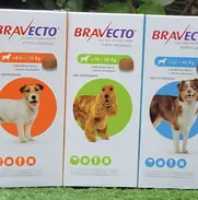 Bravecto - Img 50746339