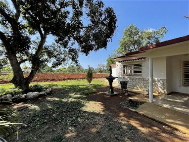 Se vende Casa Finca en El Chico, totalmente independiente, gran terreno propio, árboles frutales y tierra para cultivo - Img 67878886