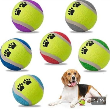 🐶 Pelota para perros 🐕🥎 - 2/2