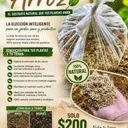 Sustrato para mantener a las plantas hermosas 🌿 - Img 57159398