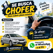 Se solicita chofer profesional para trabajo estatal en La lisa. - Img 57914568