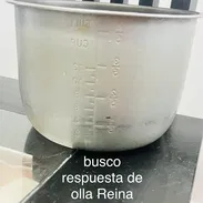 Busco respuesto para olla reina - Img 57243882