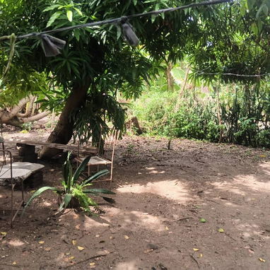 Venta de casa al lado de la forestal en mayari - 3/10