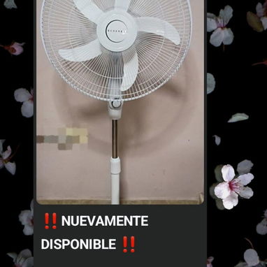 Cafetera eléctrica, olla reina, arrocera, sartén eléctrica, microondas, - Img 120334442