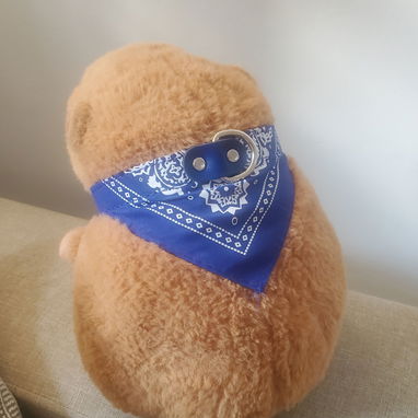 Collares para las mascotas de casa! - Img 120488337