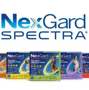 NexGard Spectra - Img 44121165
