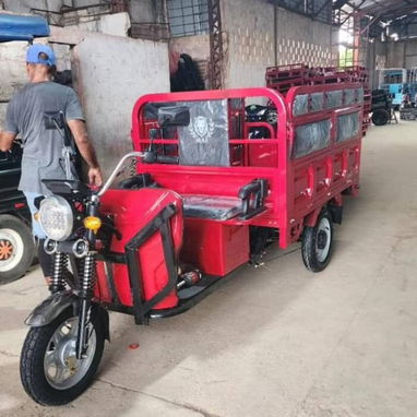 TRICICLO ELÉCTRICO MAF - 3/4