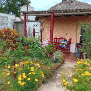 Renta de casas y excursiones en Viñales, Pinar del Río, Cuba - Img 45610614