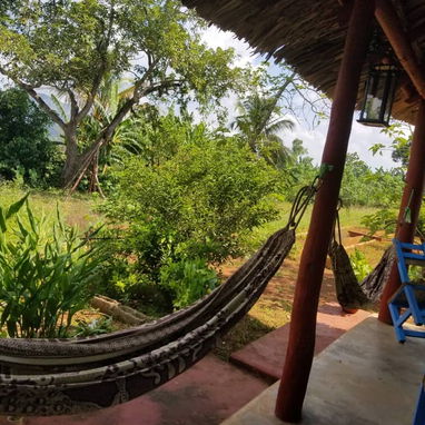 Alquiler de casa en Viñales para grupos grandes. Renta de casa en Viñales, Pinar del Río - Img 125490007