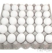 Vendo cartón de huevos en 1800 MN - Img 45782729