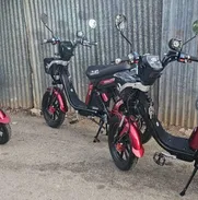 Bicimotos marca *HALCON* 2025 , nuevas 0km a estrenar por el cliente  3000w  48v  -  50ah  Hacen 130km por carga   COLOR - Img 49306918