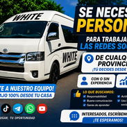 Ofertas de empleo no la pierdas - Img 57087640