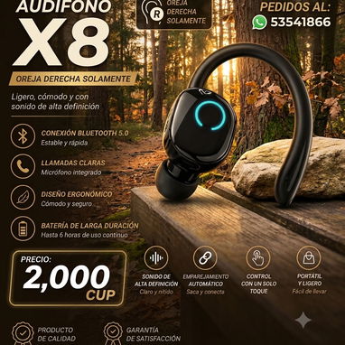 AUDÍFONOS INALÁMBRICOS - 6/8