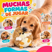 Castor Juguete para Perro - Img 57637864