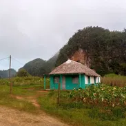 Finca en Viñales - Img 58022911