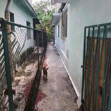 En venta biplanta en bajos con 4 cuartos y garaje en Casino Deportivo !!! - 5/6