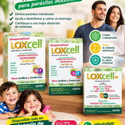 Medicamento Importado muy seguro para Parásitos, Giargia, Ameba y Oxiuro entre otros - Img 49963194