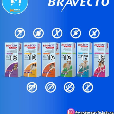 Bravecto 1M Triple 20-40kg - 2/2