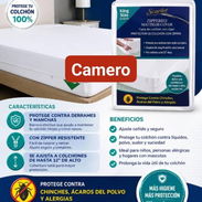 Forro de colchones cameros - Img 56444688