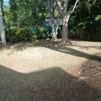 Trabajo en jardinería - 9/10